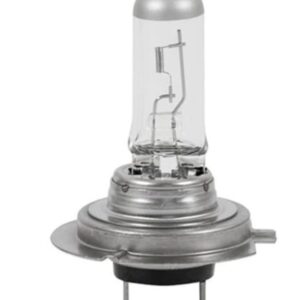 GLOBE H7  24V 100W